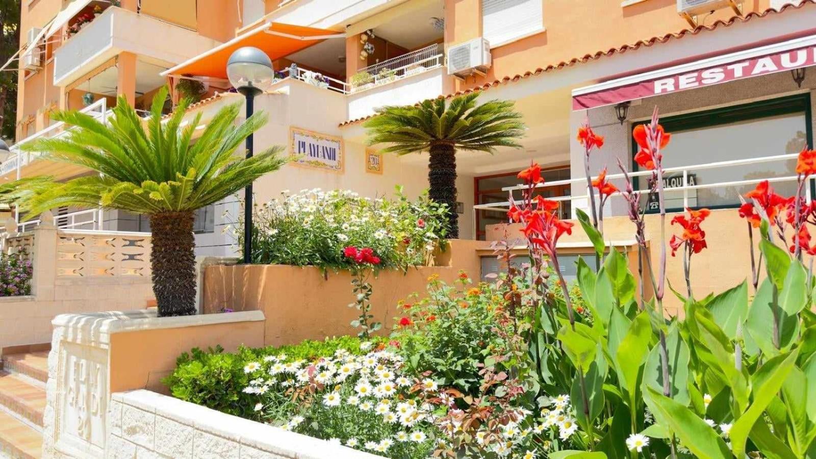 Apartamento PARADISE Solo Familias Gandía Exterior foto